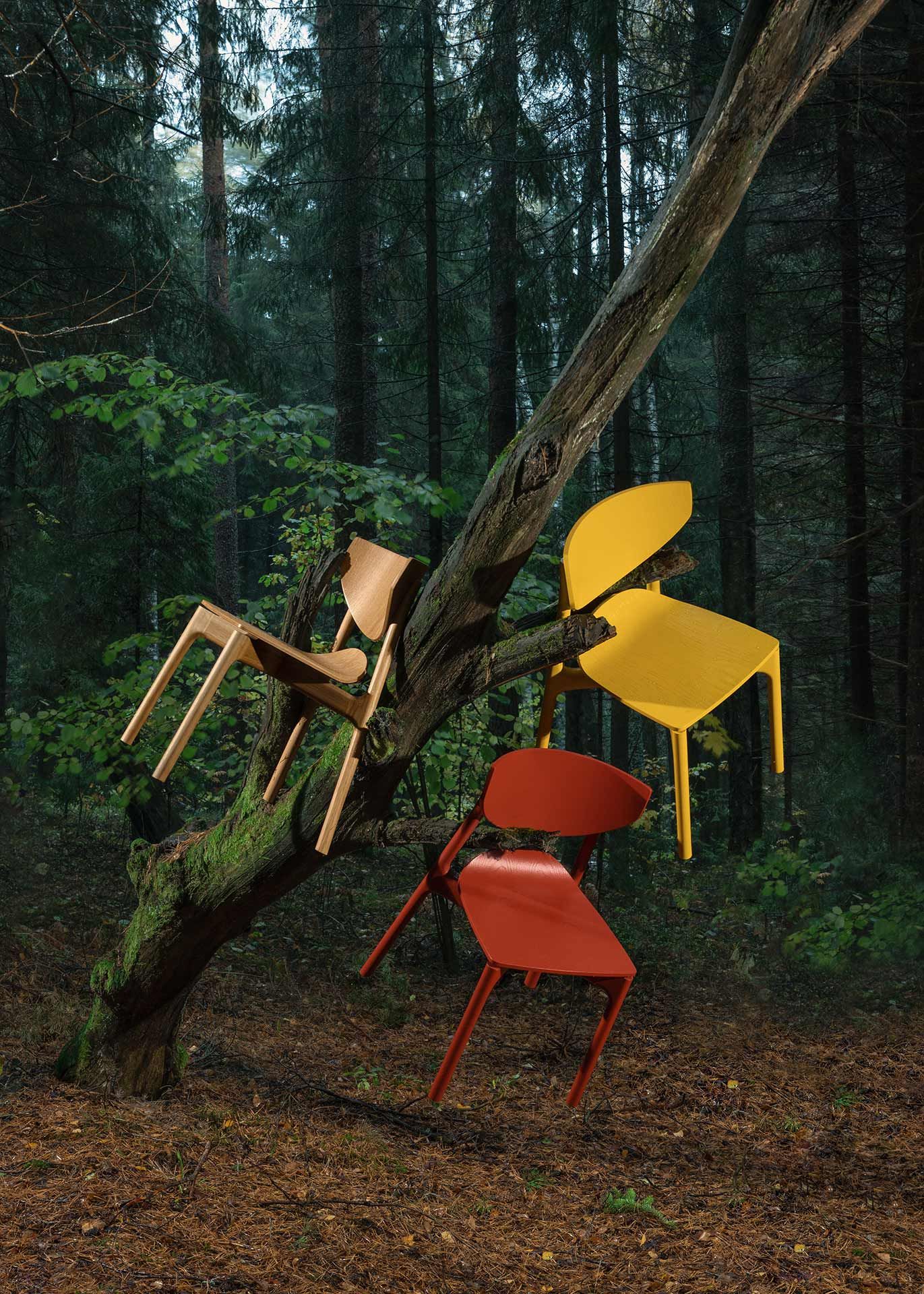 null - изображение 167